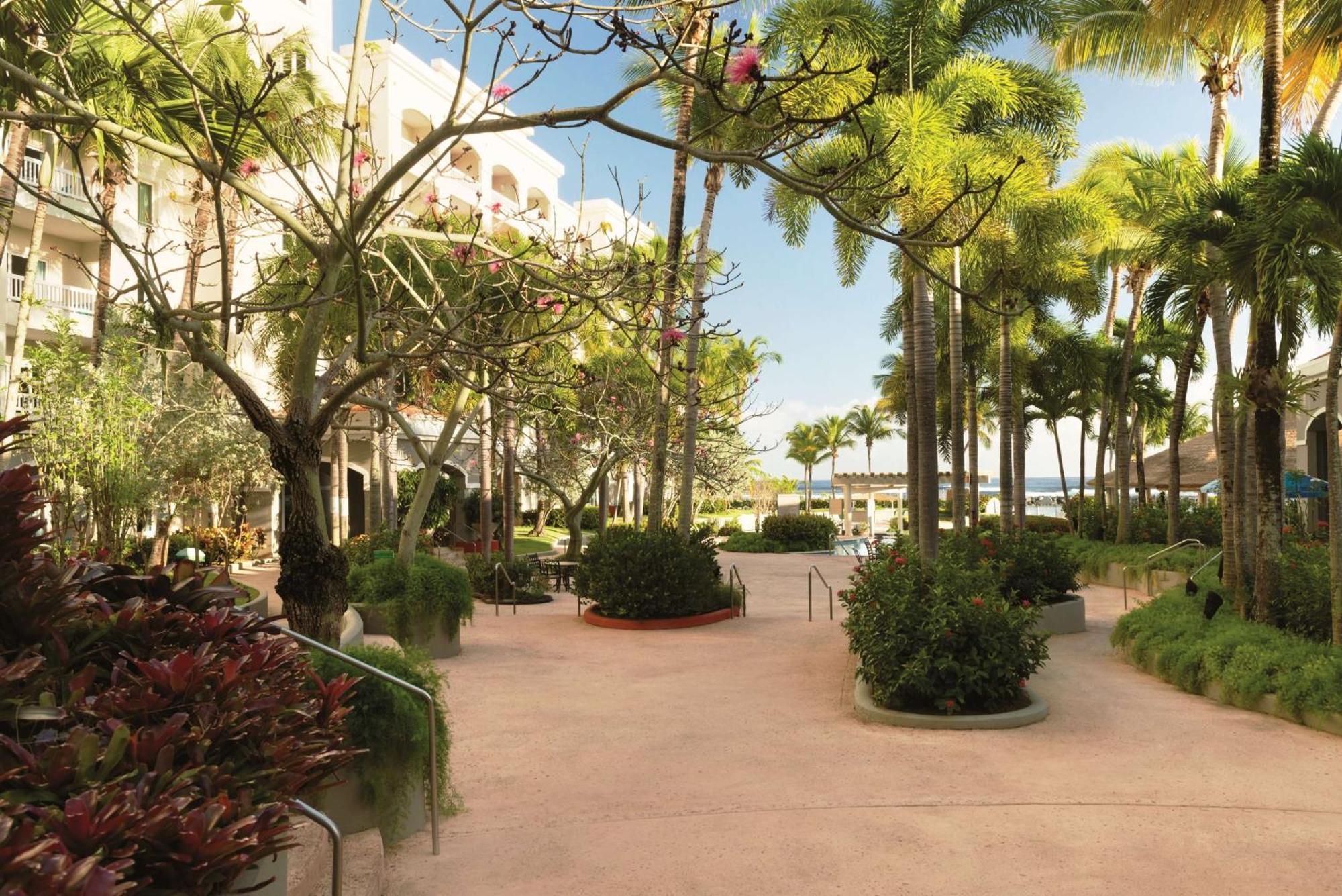 Embassy Suites By Hilton Dorado Del Mar Beach Resort Ngoại thất bức ảnh